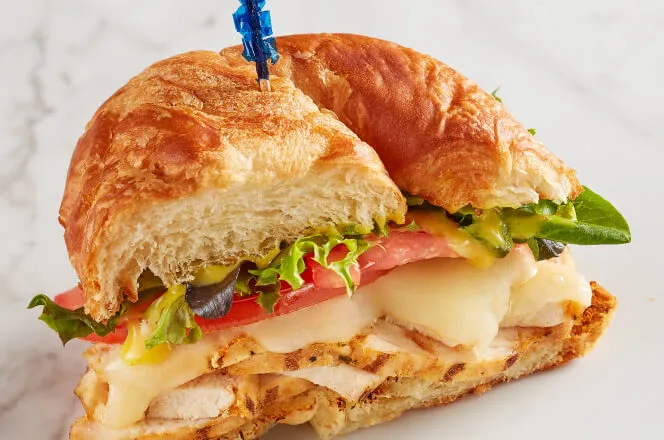 grilled chicken sandwich